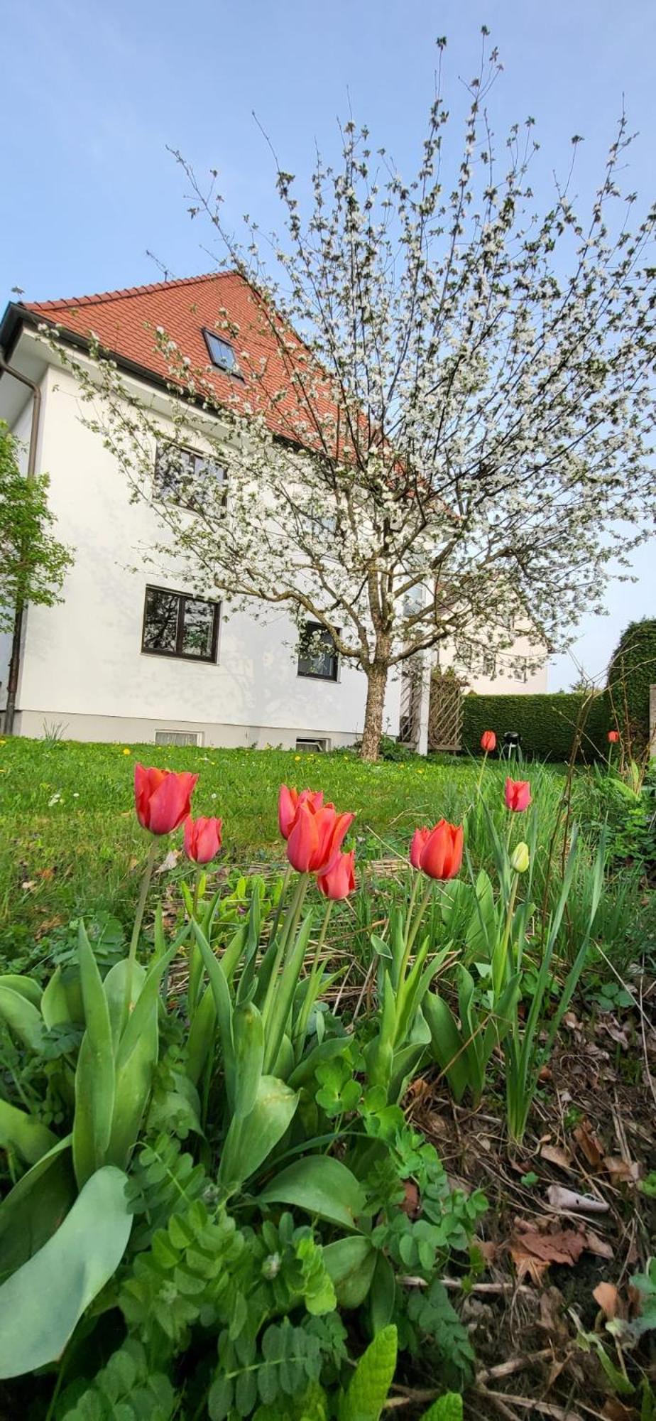 Allgaeu Retreat باد ووريشهوفن المظهر الخارجي الصورة